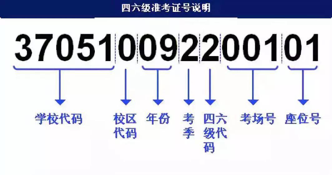 新奥门特免费资料大全管家婆料,实地策略验证计划_工具版90.923